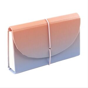 Erin Condren Budget Accordion File in Colorblend